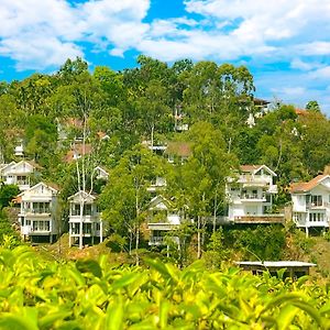 Dazzle Villa Resort